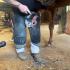 Farrier Focus â€“ Kevin Duley